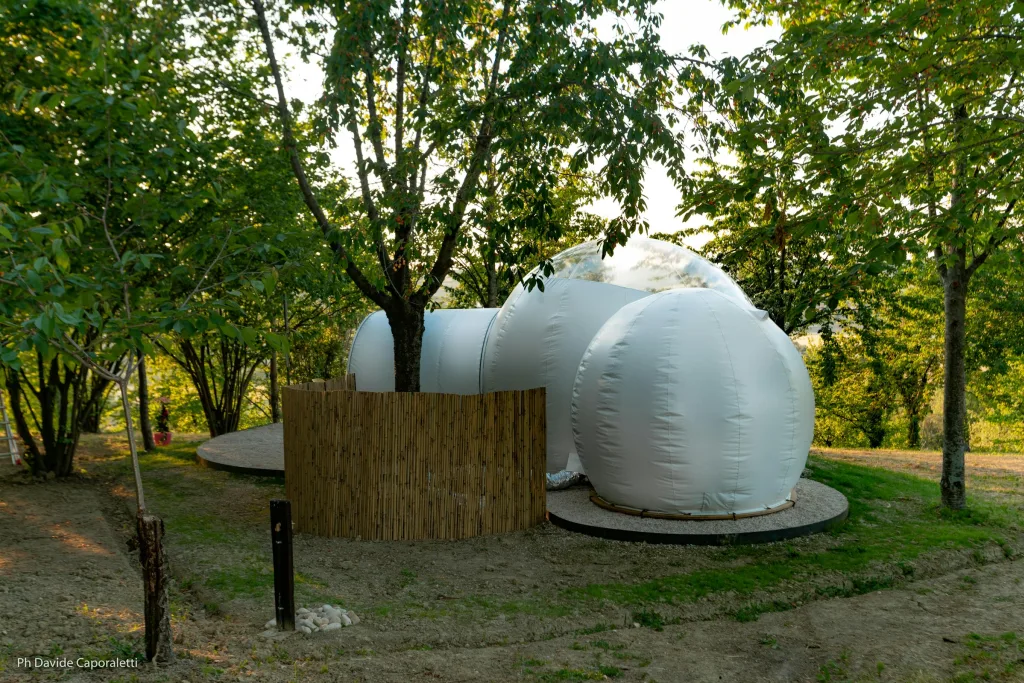 Bubble Room in vigneto a Corinaldo
