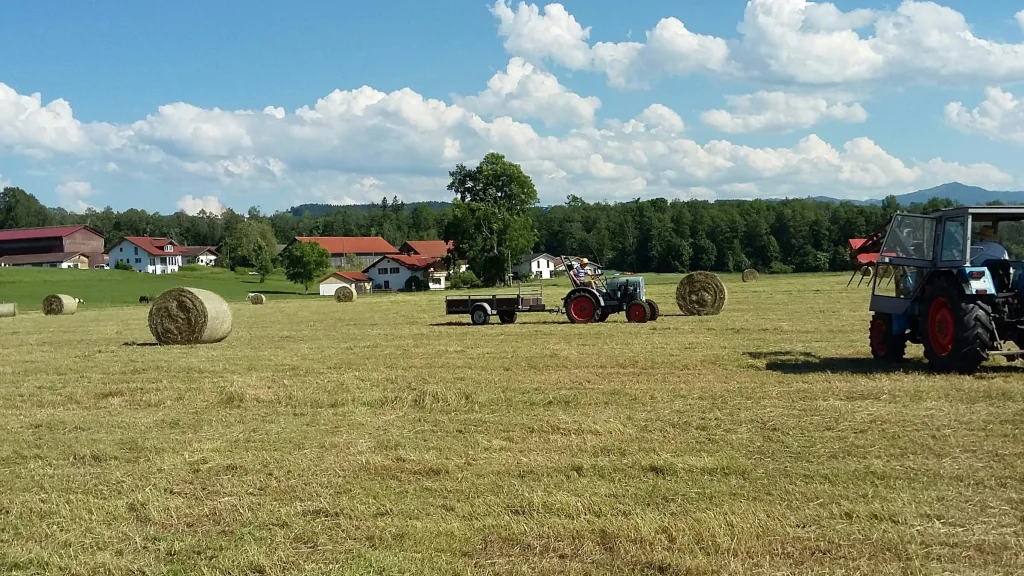 Mit Pferd und Kuh auf Du und Du