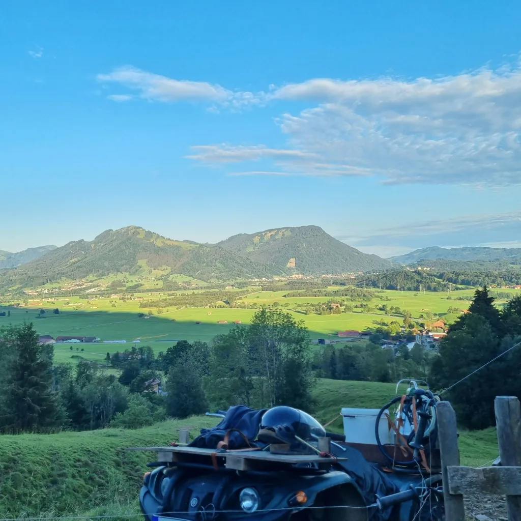 WohlfahrtHof avatar