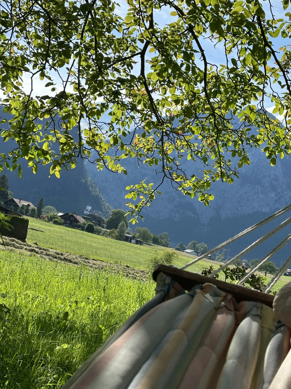 SpringCottage-unterm Wallnussbaum