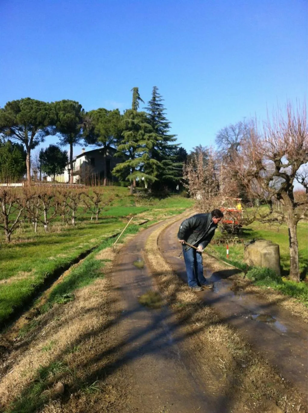 Podere Milzetta