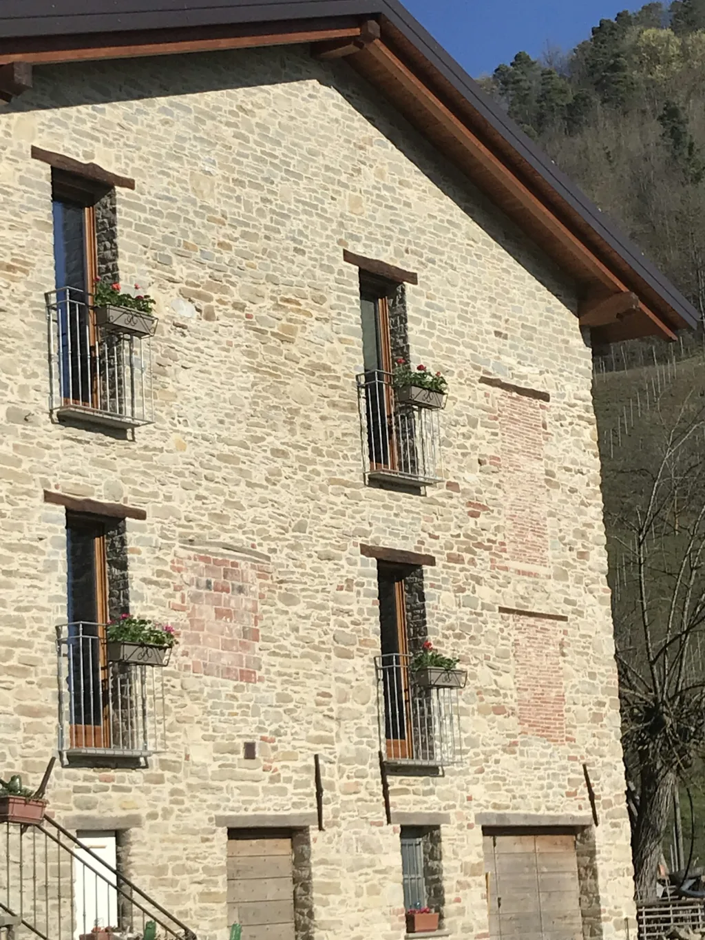 Il tesoro di MiRo