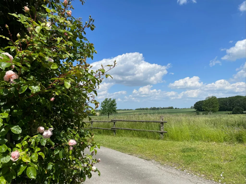 Hof-Camping mit Bördeblick