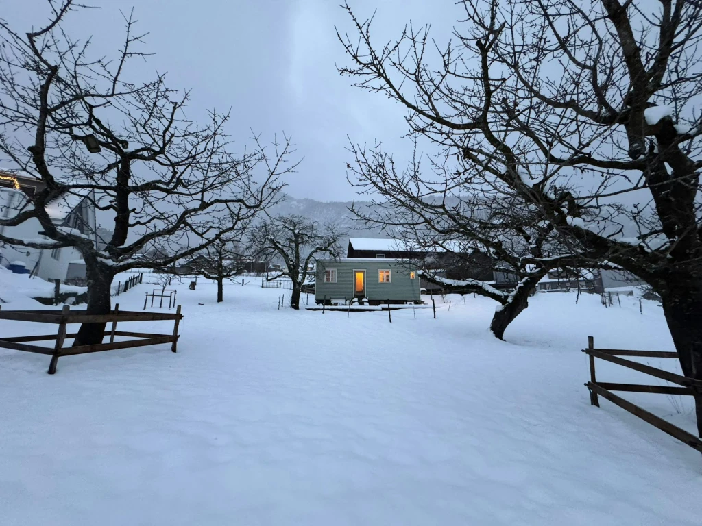 Tinyhouse mit Alpenblick