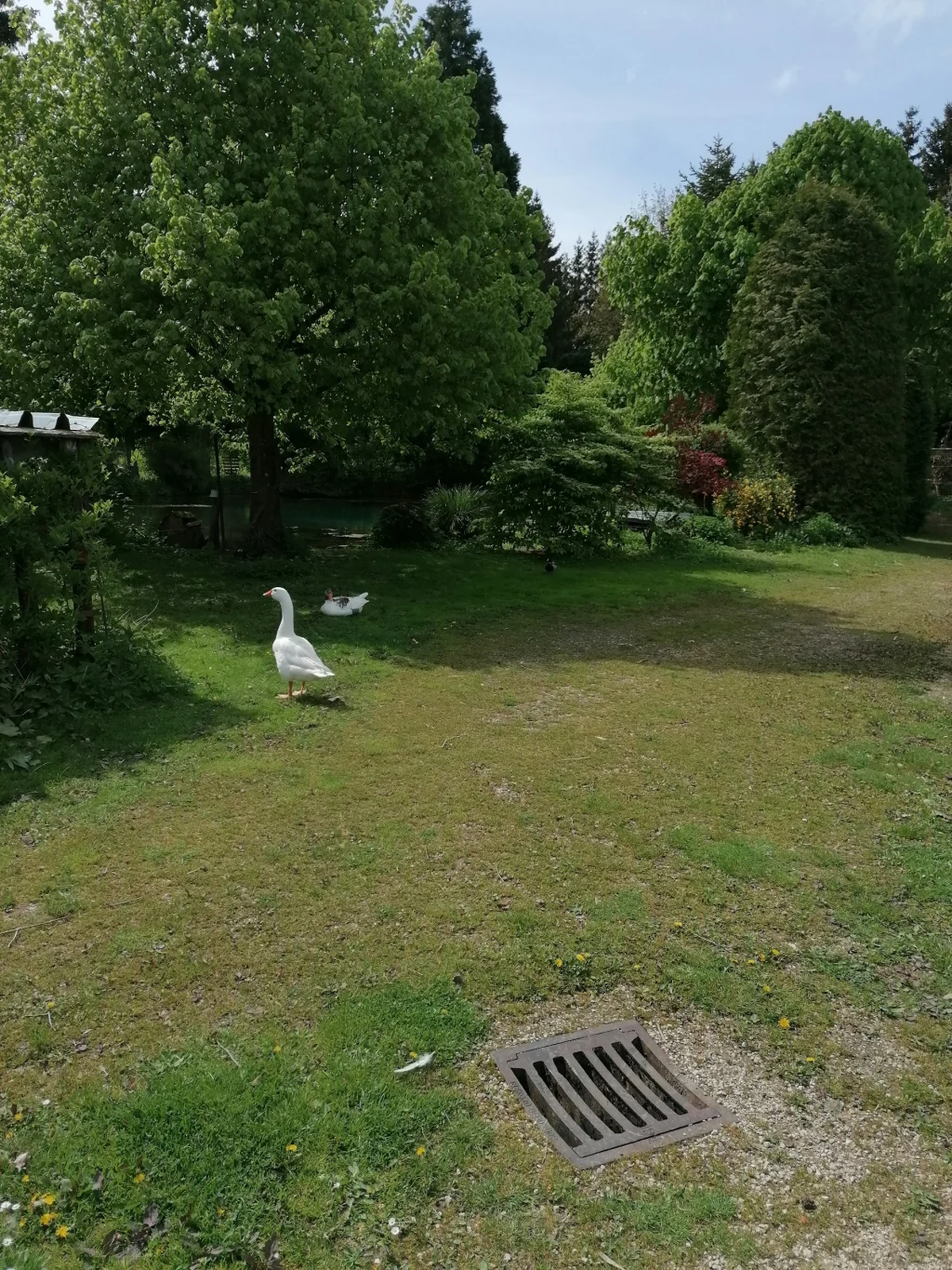 Naturjuwel