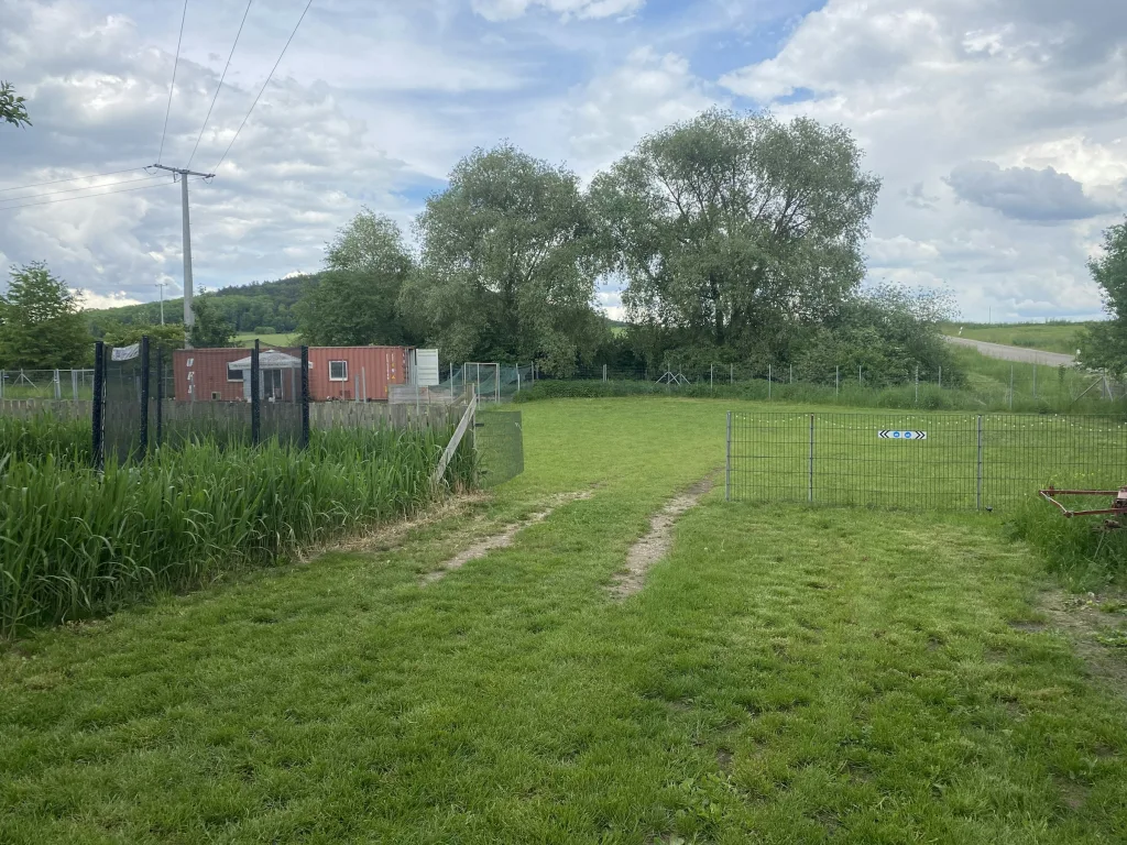Camp auf der Straussen/Lebenshof