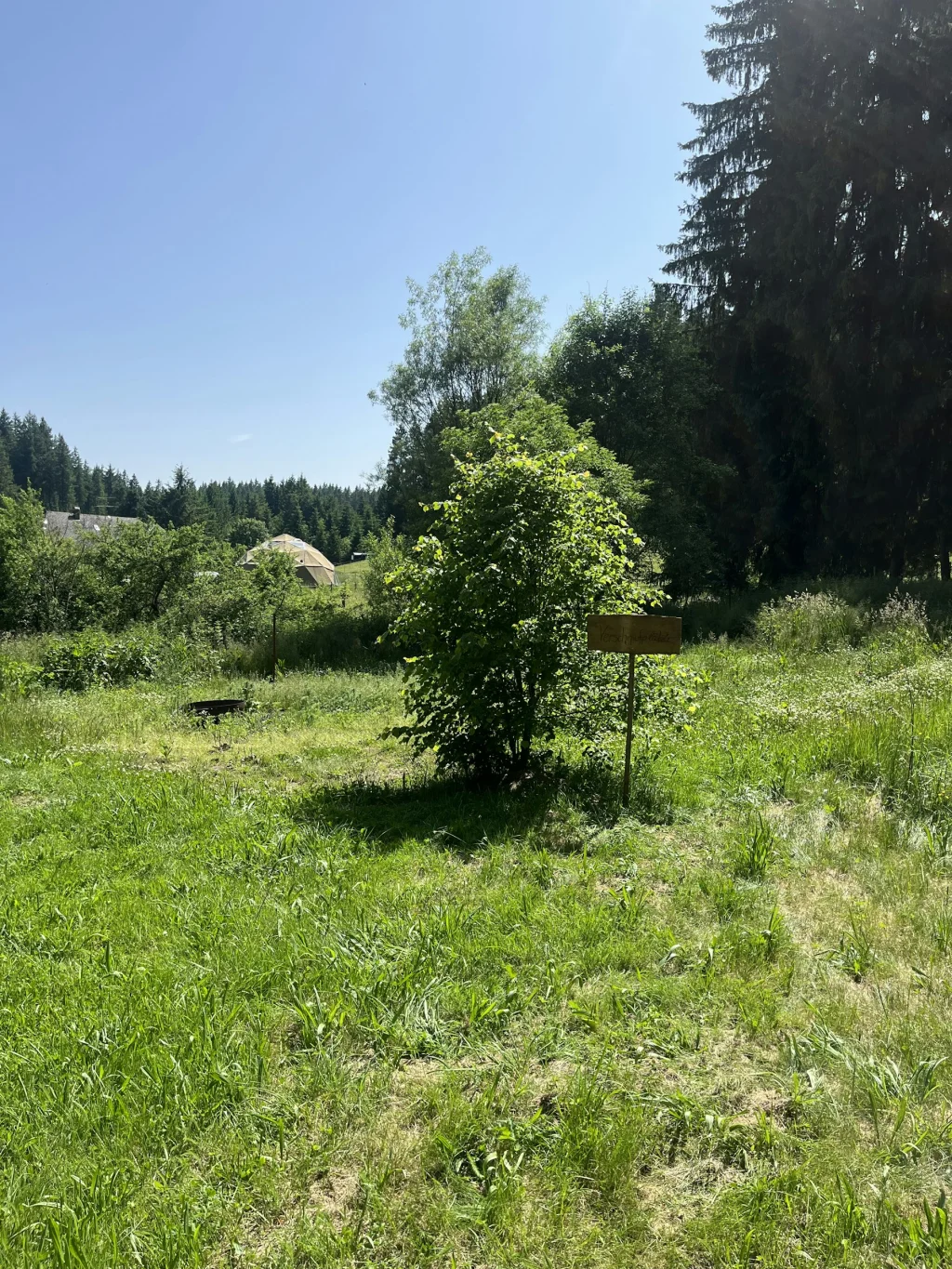 Verschnufplätzle mit Schlehenblick