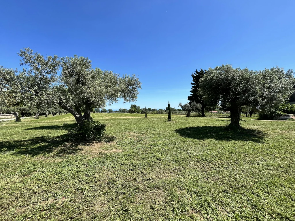 Cantina e Vigneti