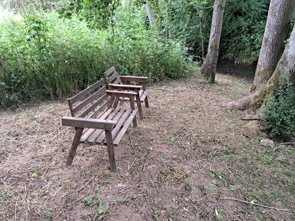 Wiese mit Bachlauf in der Eifel