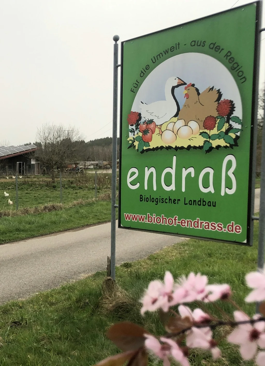 Bärbel avatar