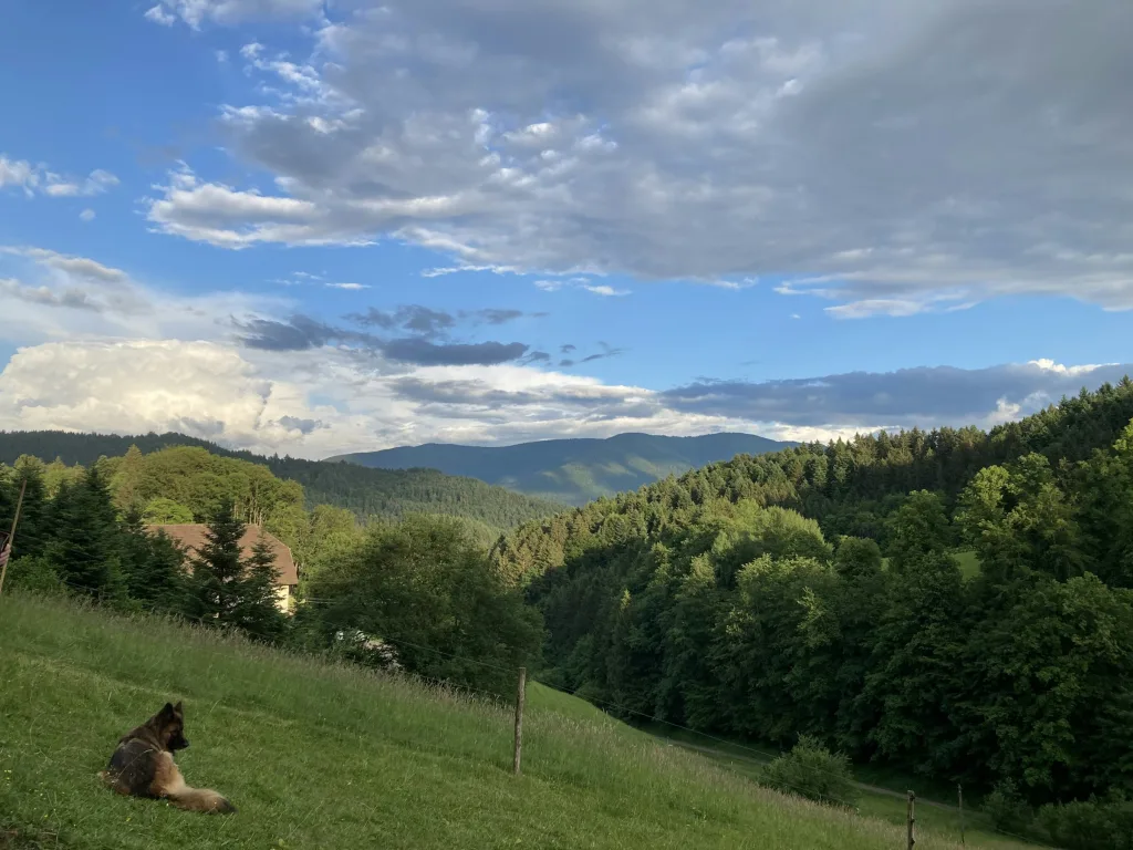 Naturbaden-Stellplatz Hohe Tannen