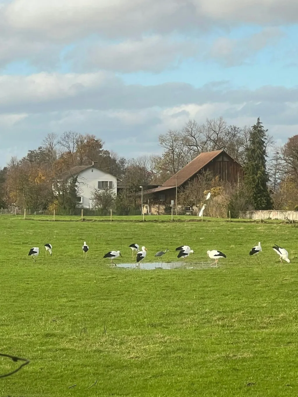 Fischergarten, am Bodensee