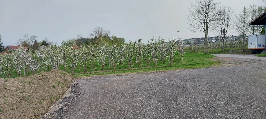 Camping Obstgarten Bodensee