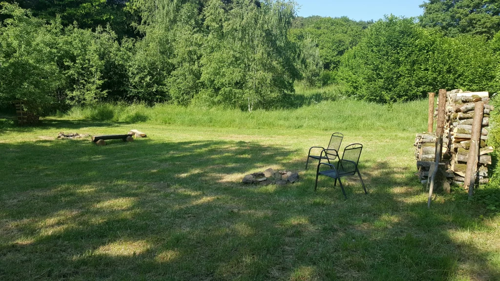 Wunderschöne Waldrandwiese