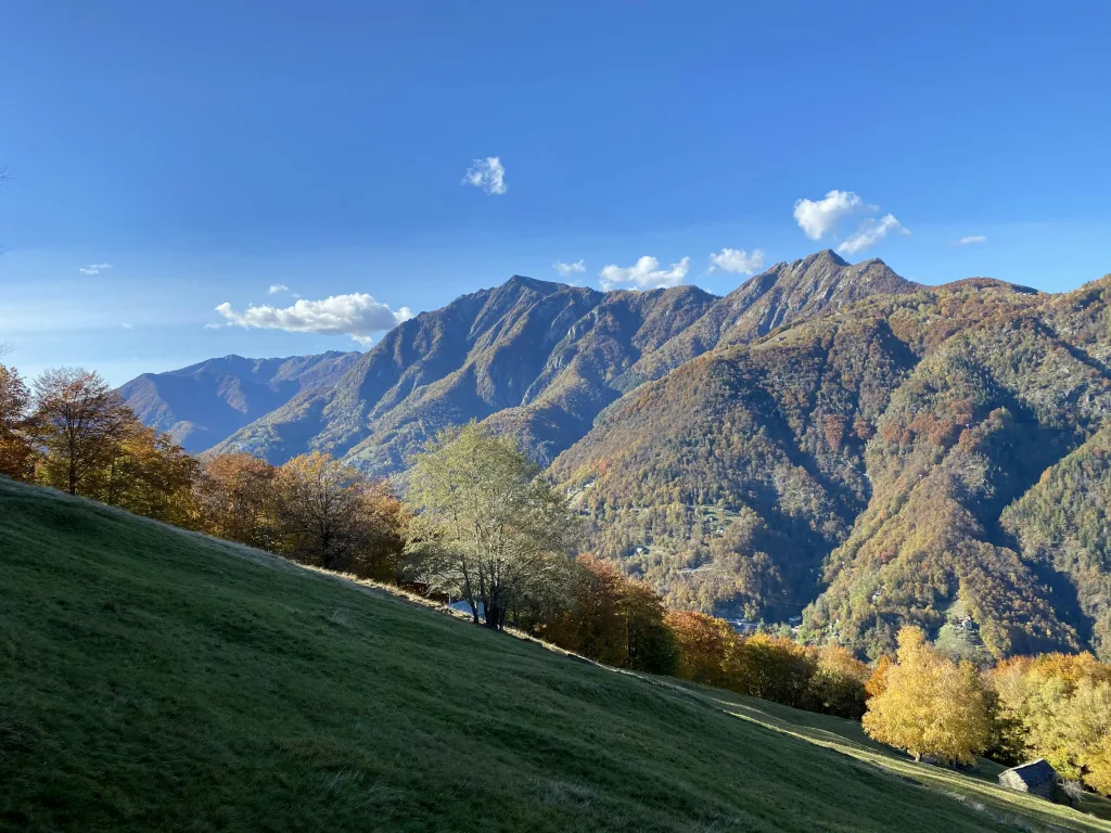 Idillico rustico casa capretta