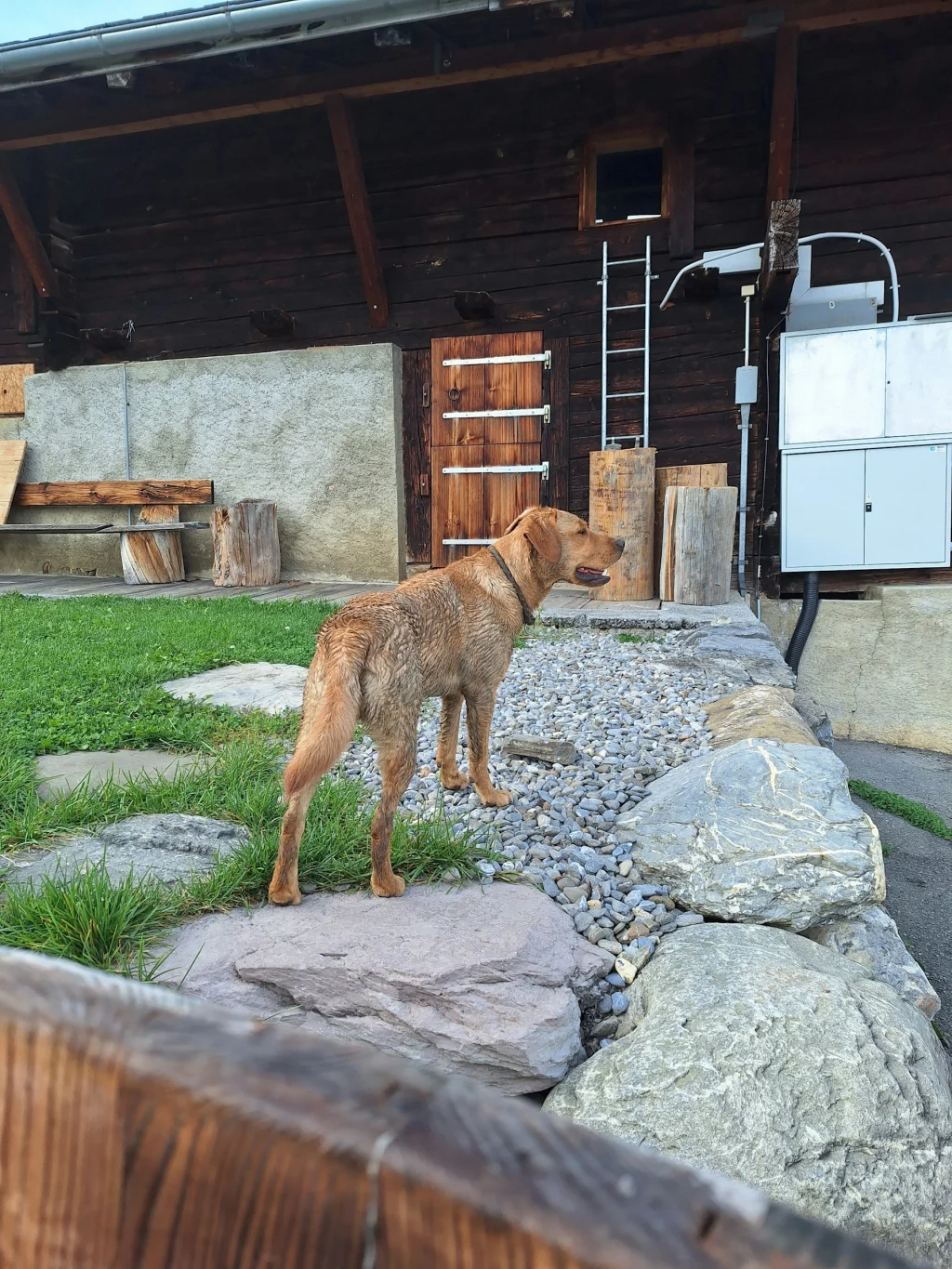 Ritz Camp - Berge im Blick