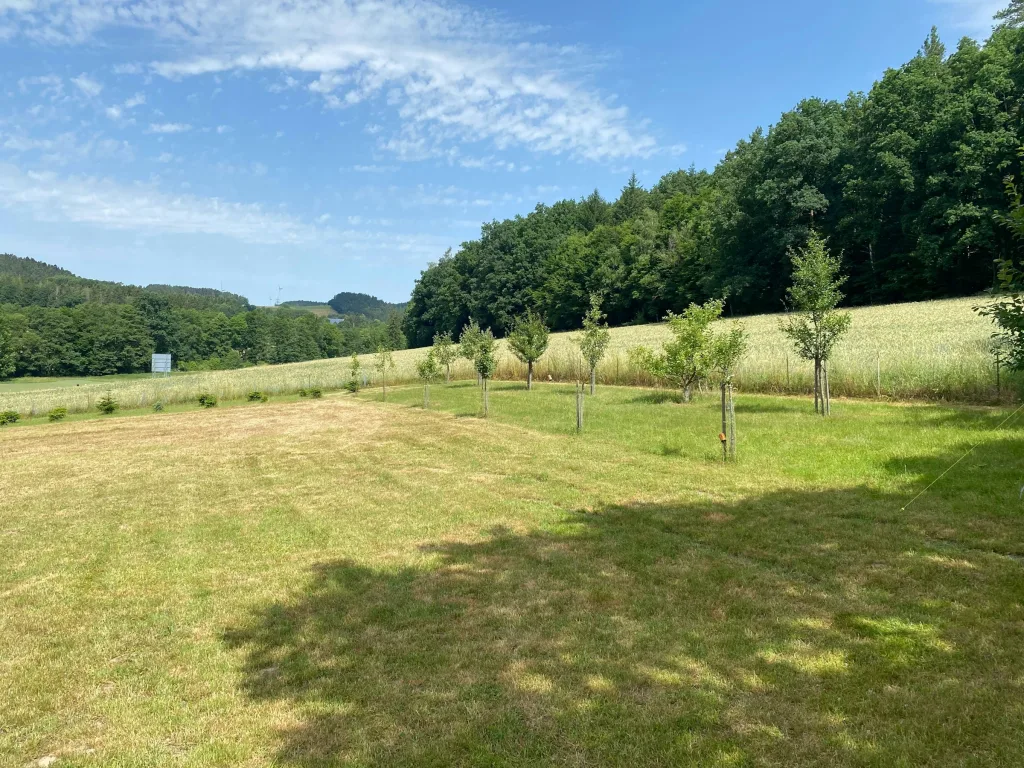 Zelt- und Stellplatz im Grünen
