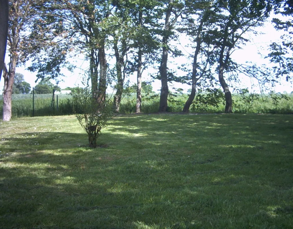 Camping am Sommerdeich - Zeltwiese