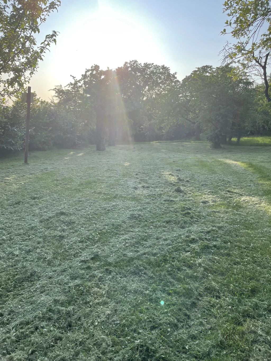 Stellplatz Taunusblick am Rand von Bad Nauheim
