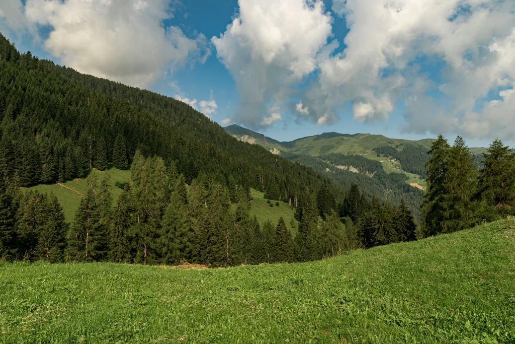 Camp Stettli