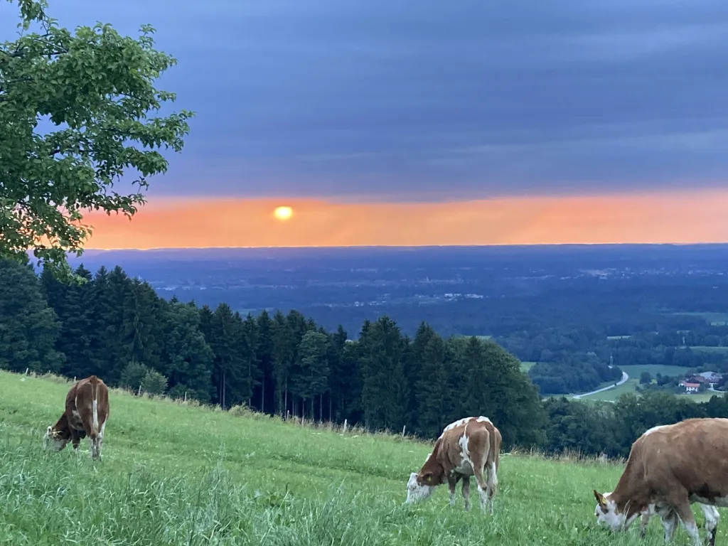 Sundowner Stellplatz