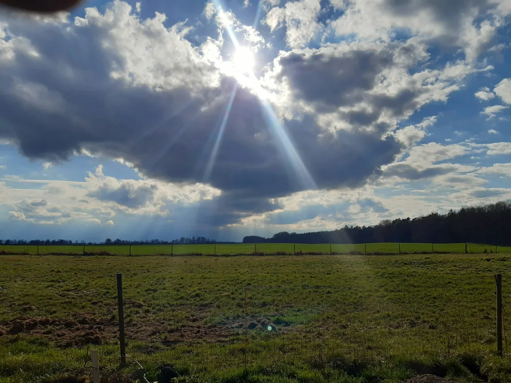 Alter Sportplatz Wardow