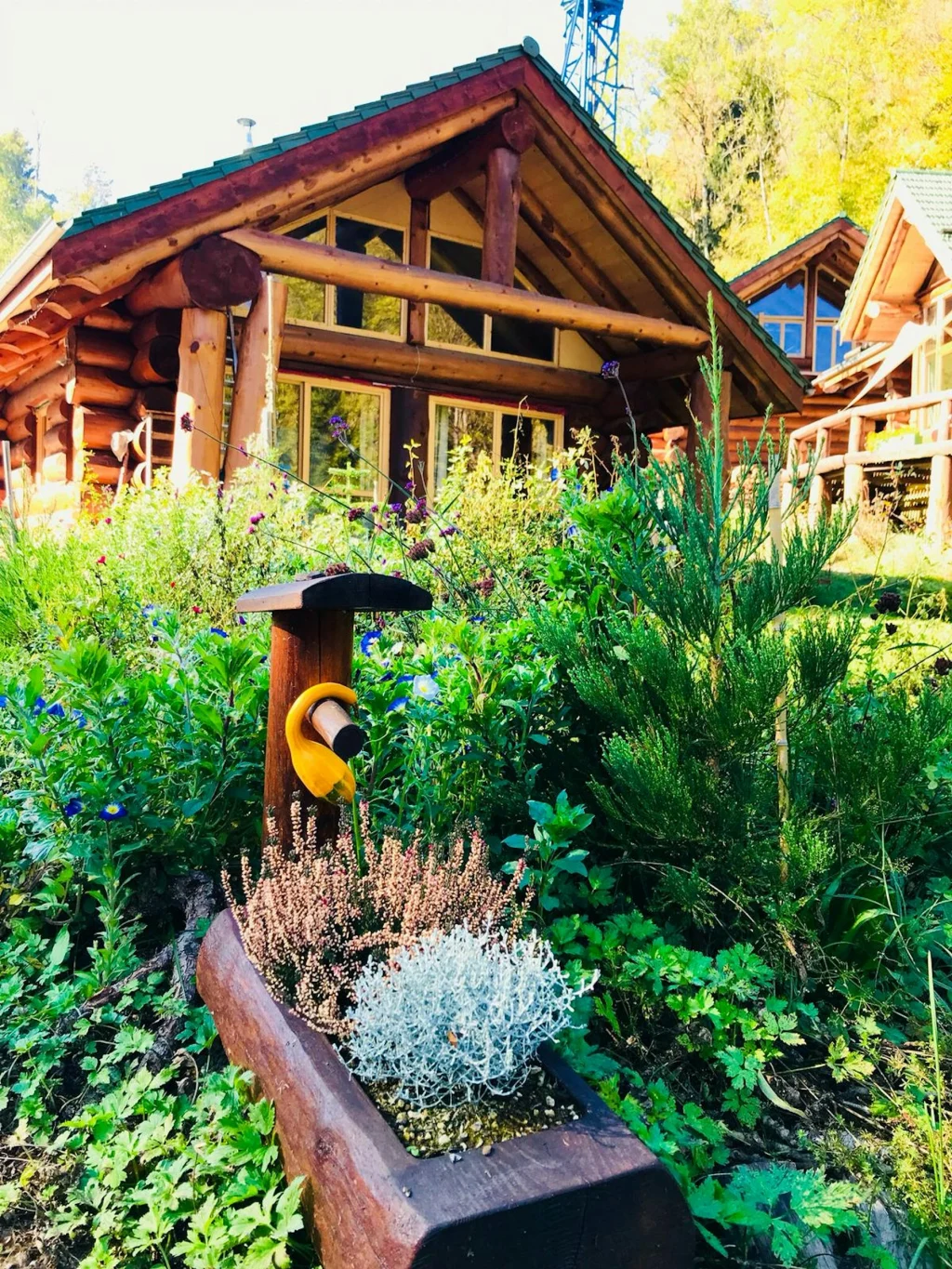 Blockhaus Grizzlylodge privat SPA
