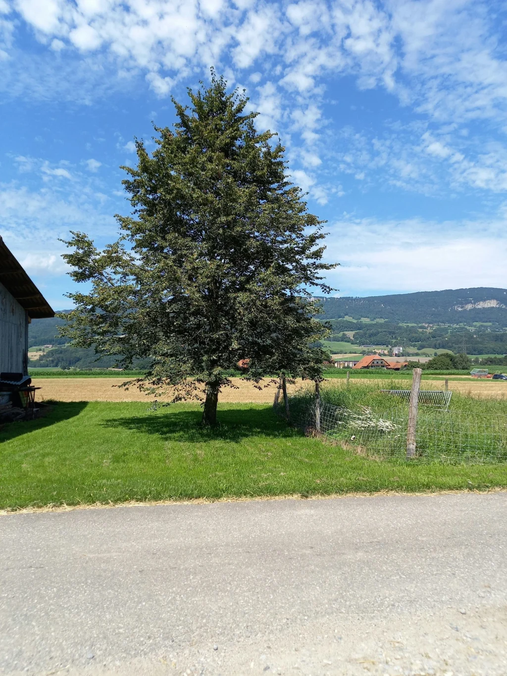 Rieselhof