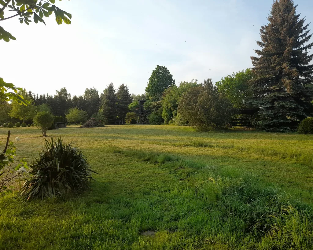 Wiesen-Camping-Natur-max.2 Zelte