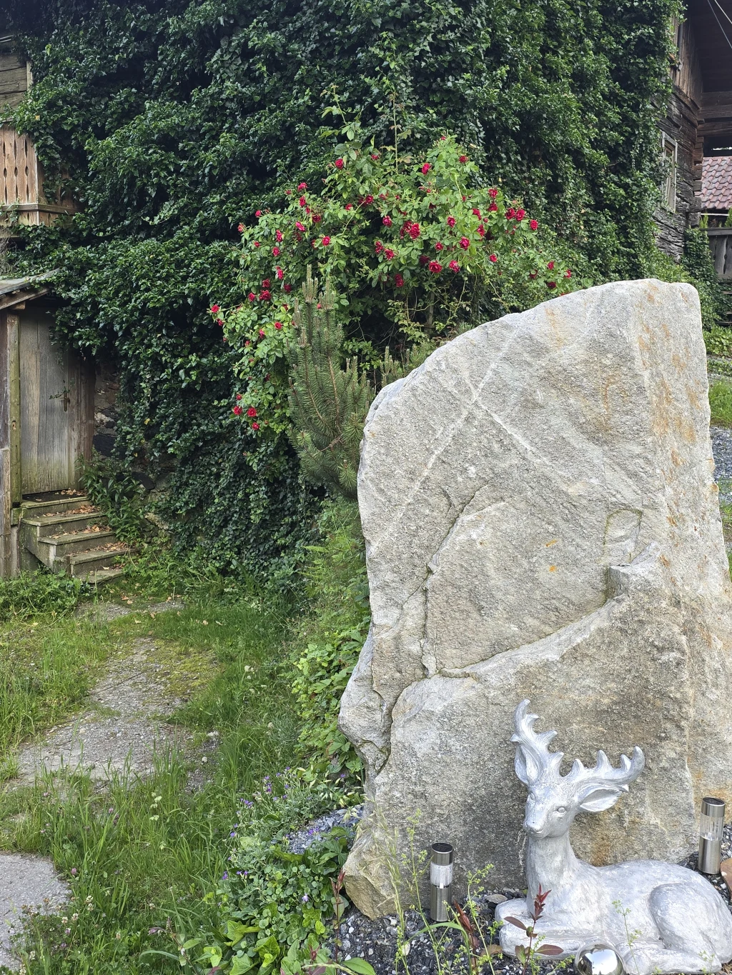 Auszeit auf der Wildtier-Alm