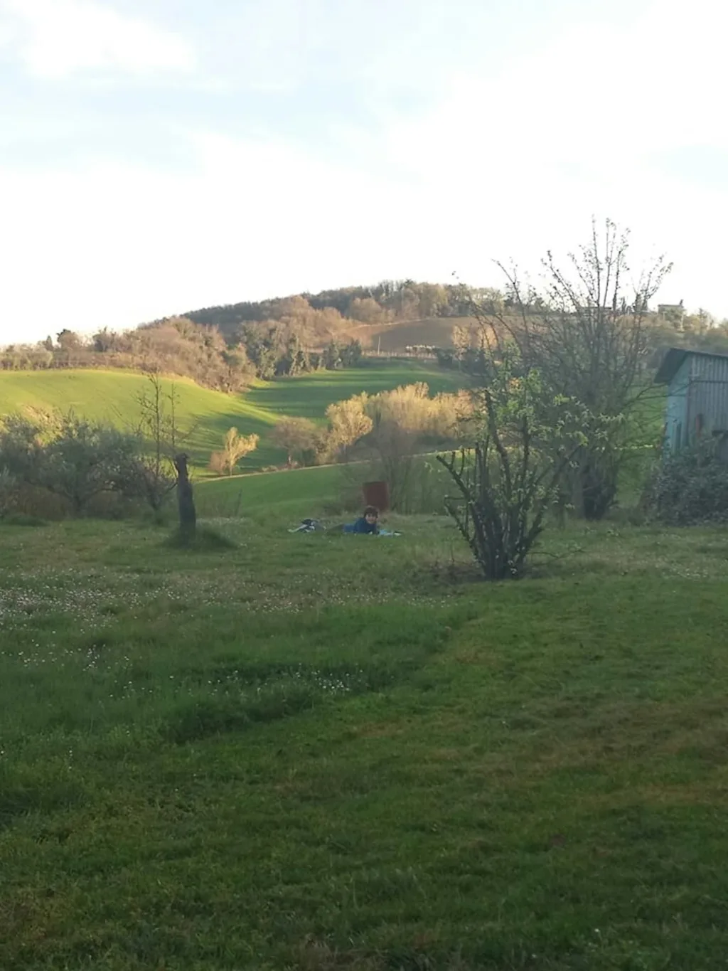 Colline brisighellesi