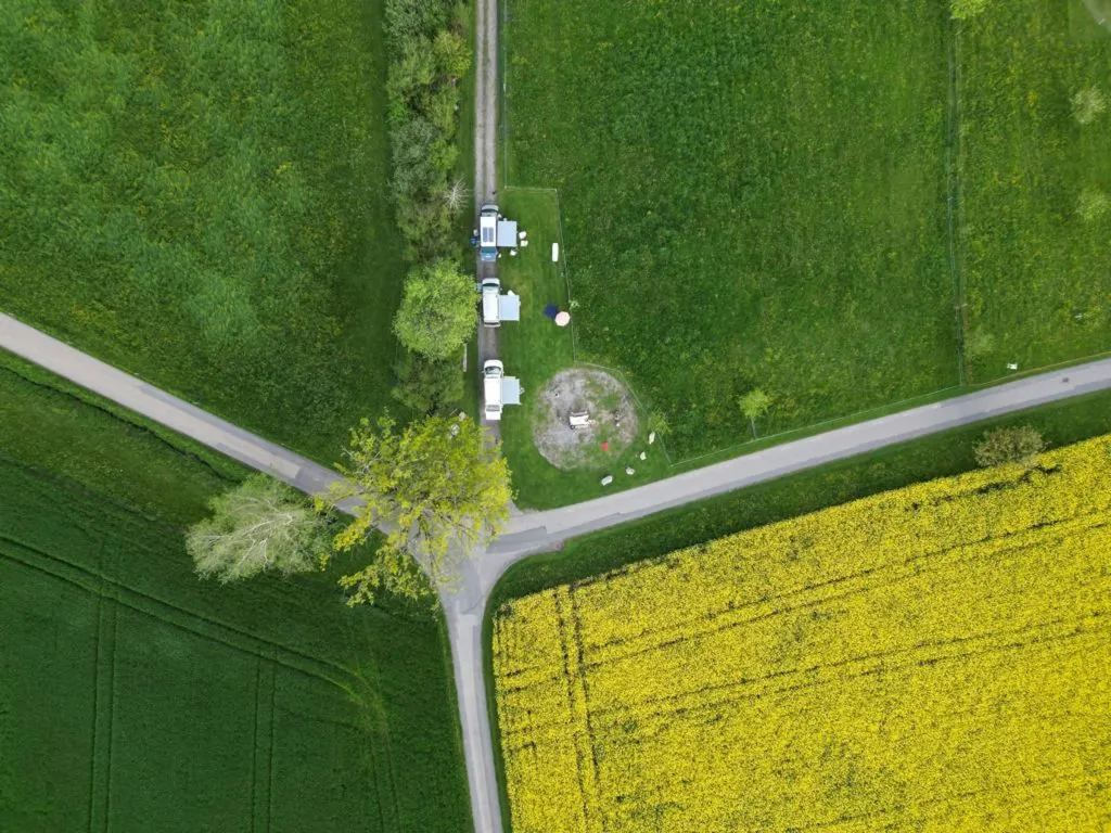 Bergweid