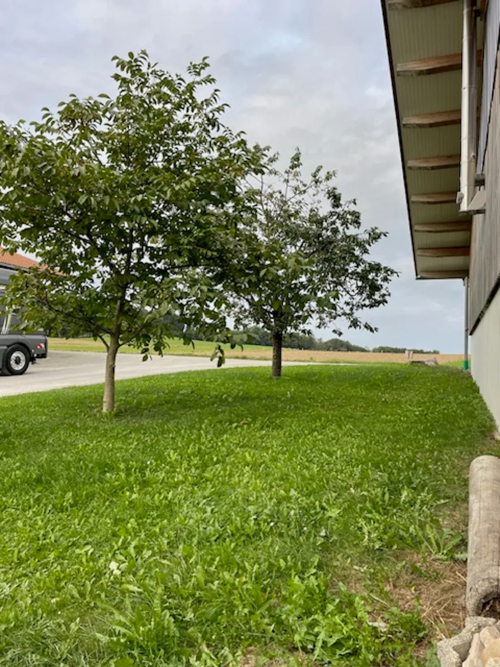 Entspannen am Steindlhof im Grünen