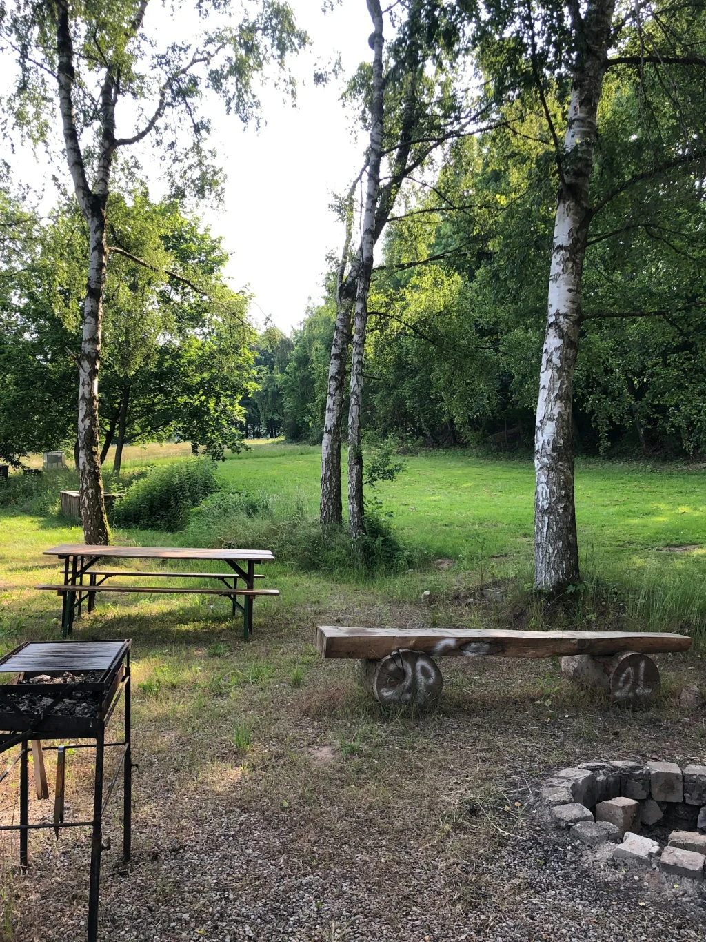 Schweben im  Buchengrün