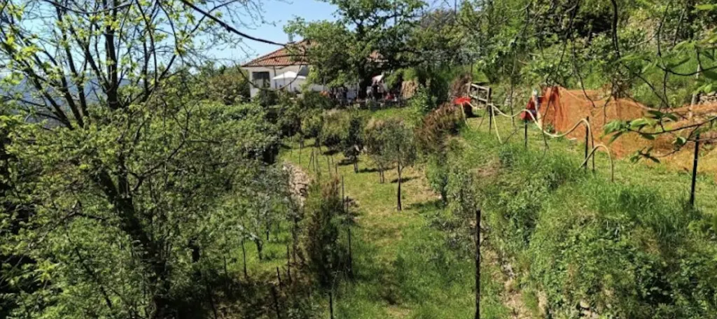 5 fasce nella macchia mediterranea.