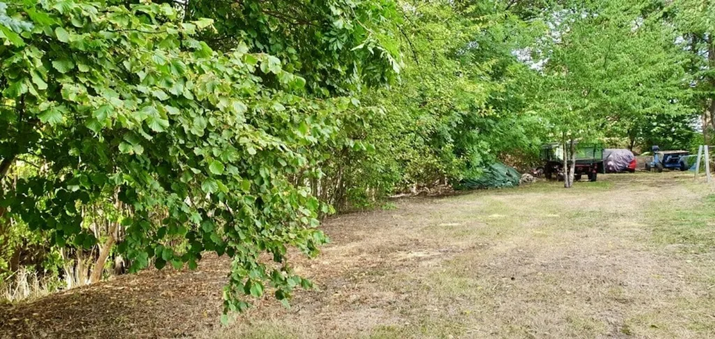 Schattiges Plätzchen am Bach