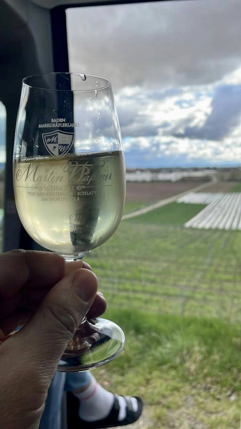 Bad Krozinger Weinberge