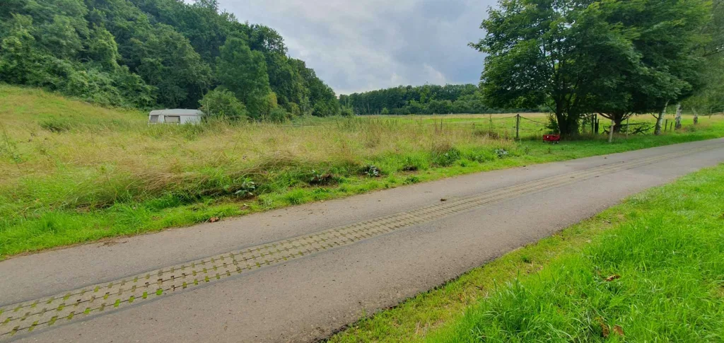 Obstwiese mit Ahrblick