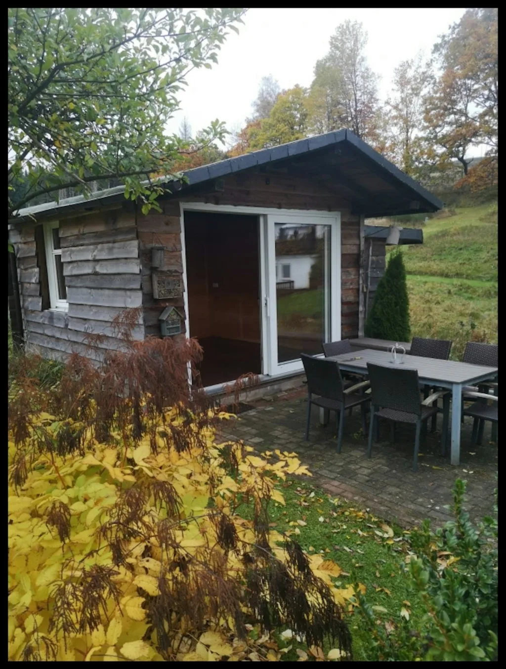 Hütte "Pauline" unterm Apfelbaum