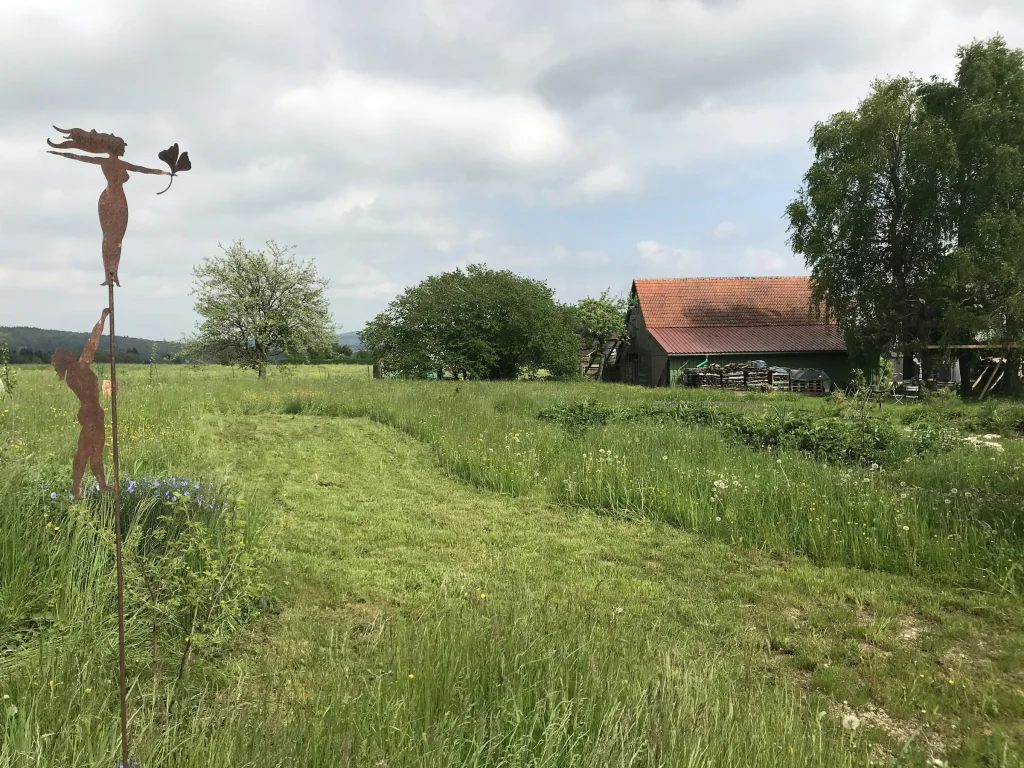Blumenwiese am Ortsrand