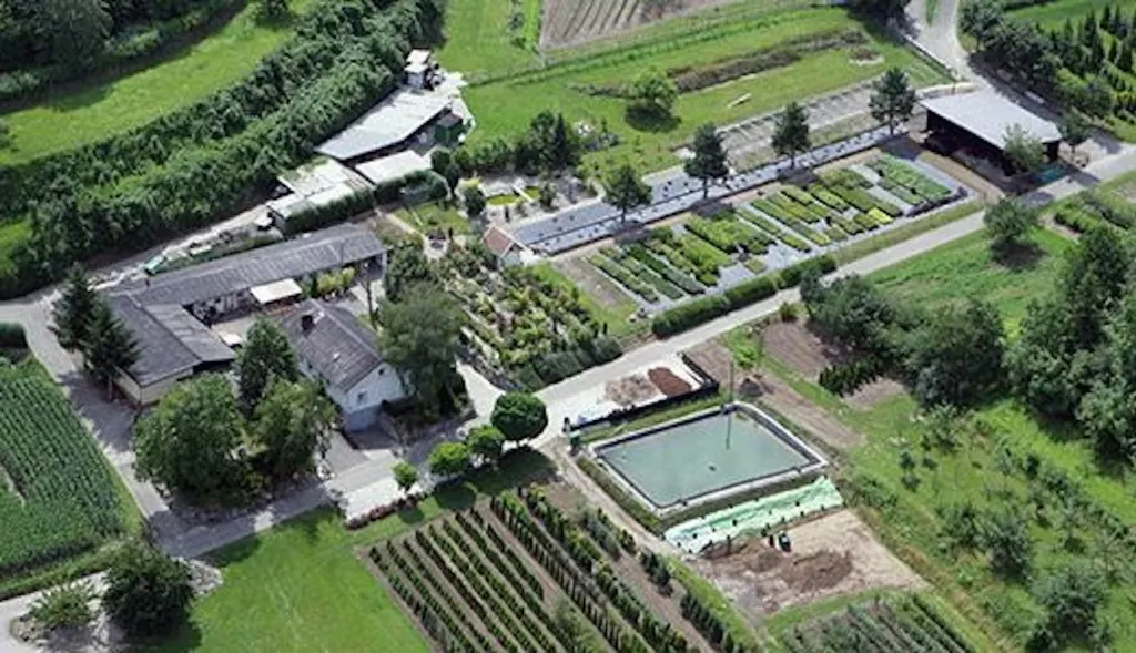 Elsassblick