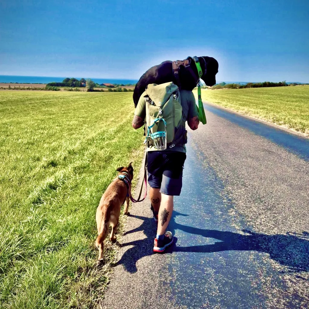 Profilbild von Daniel