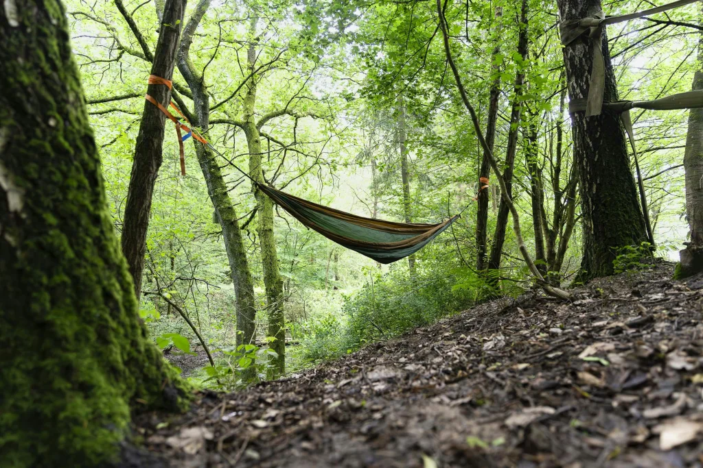 wilde Übernachtung im Baumzelt