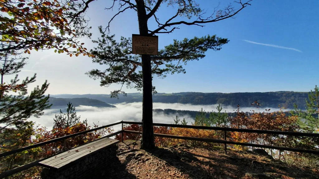 Direkt oberhalb des Naturwunder Donauschlinge