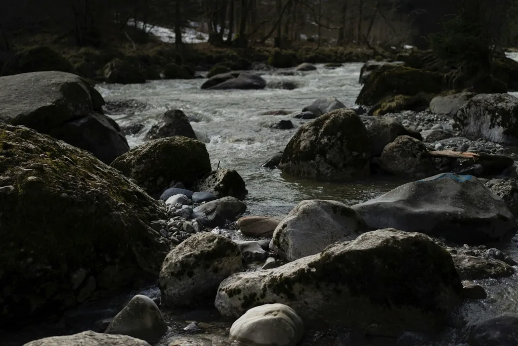 River Camp, direkt an der Sihl