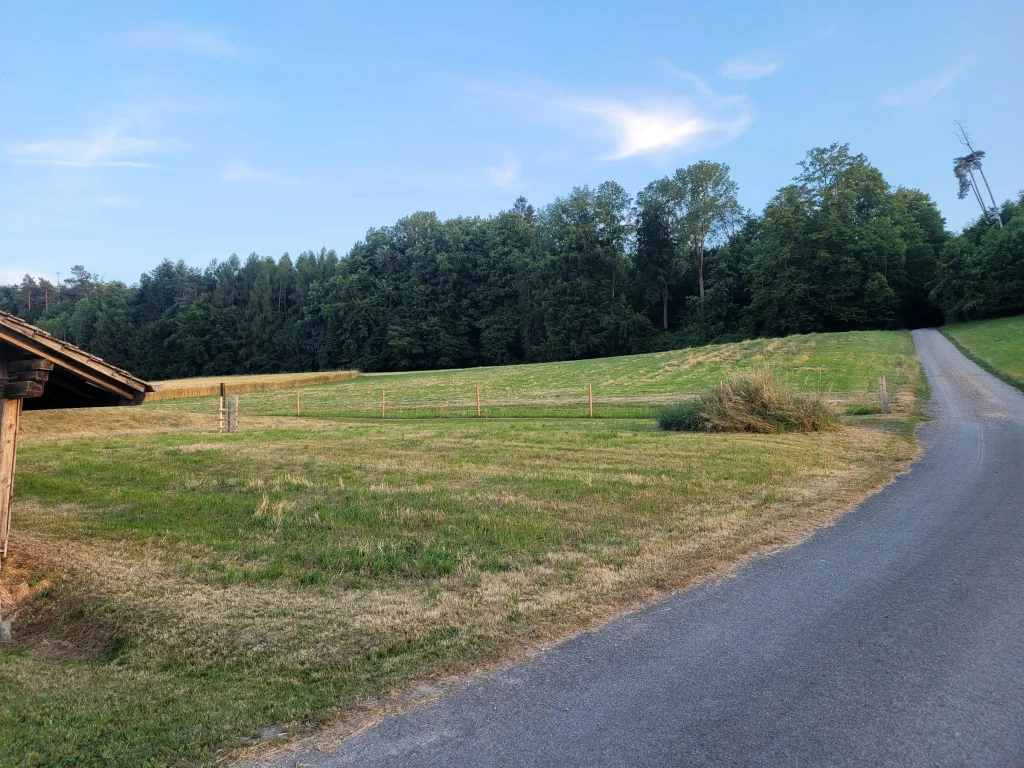 Abgelegene Idylle in Moorwilen