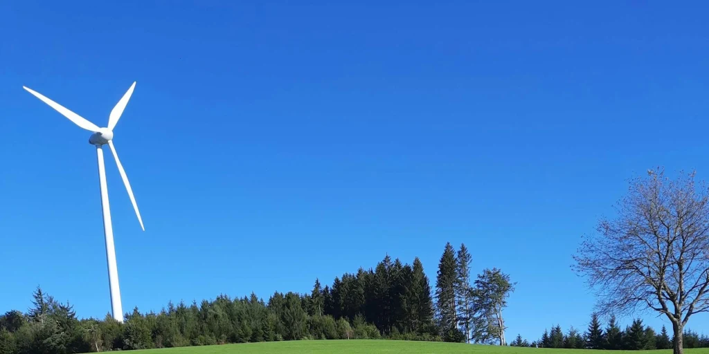 Stellplatz am Schwarzwaldhof