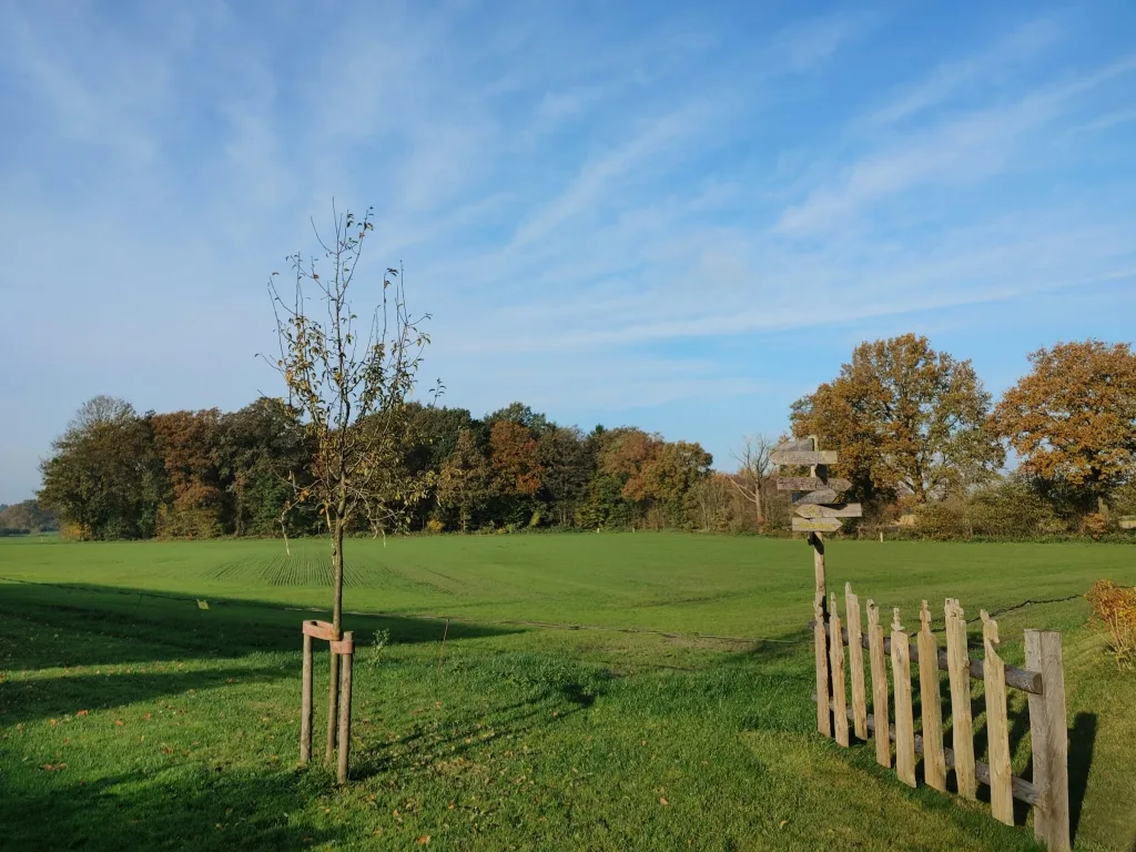 Auszeit im Wichtelgarten