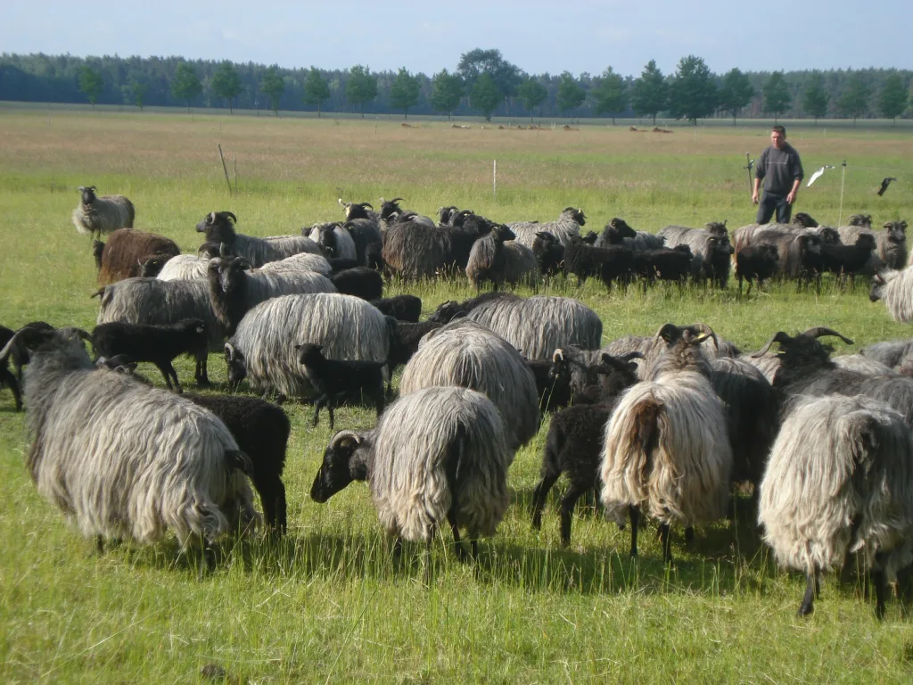 Landleben auf dem Krabathof