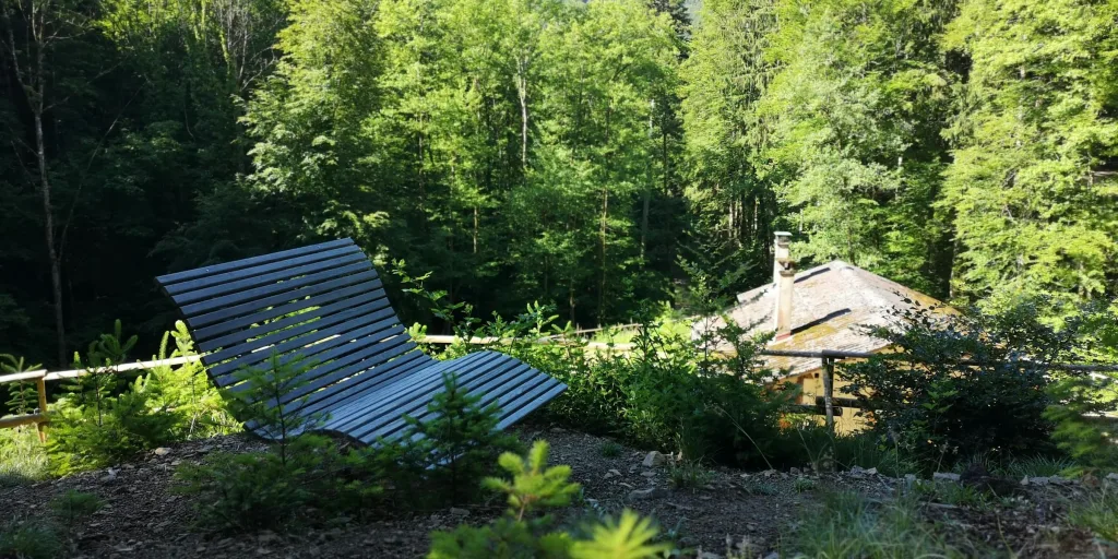 Waldbaden im Bad Krozinger Heilwald
